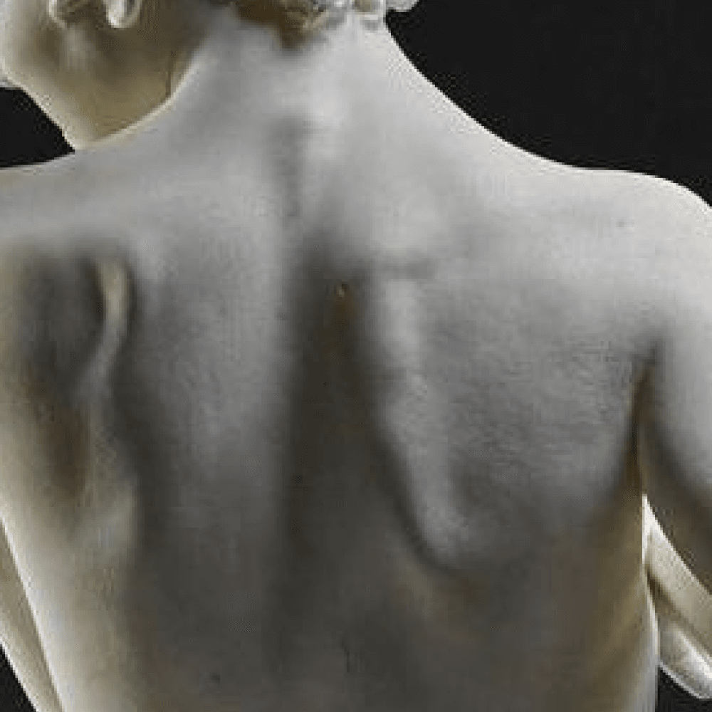 Ортопедія і травматологія